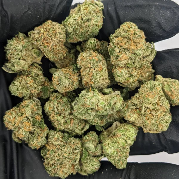 Blue Dream - Indoor Medium-Smalls THCa Flower