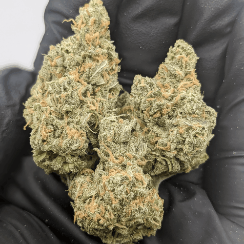 Blue Dream - Indoor THCa Flower