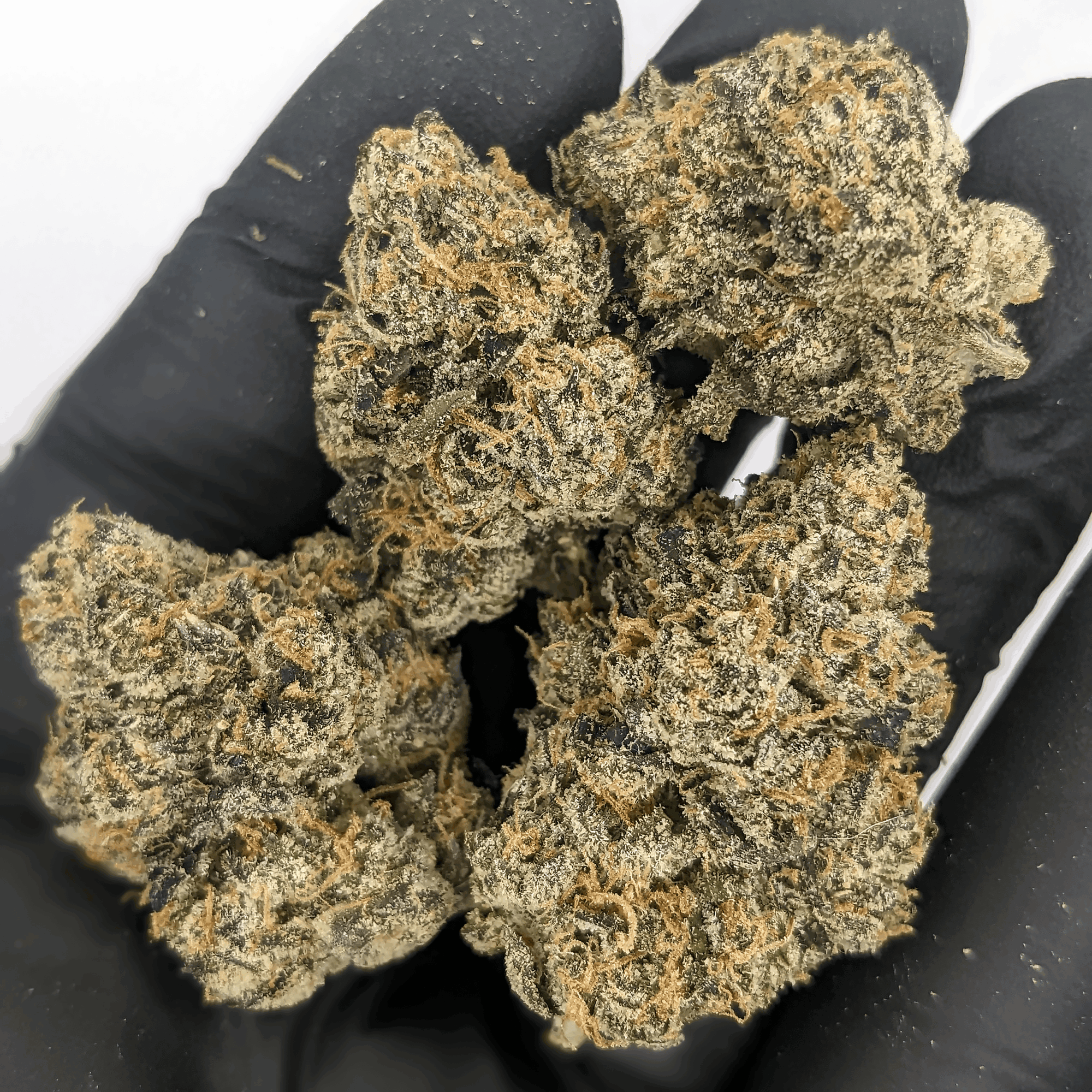 Indoor THCa Flower Ounce