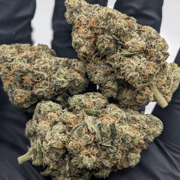 Indoor THCa Flower Ounce
