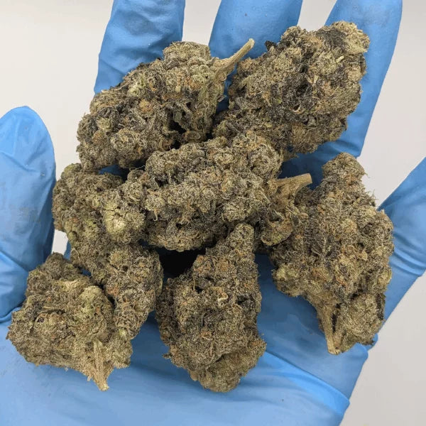 Indoor THCa Flower Ounce
