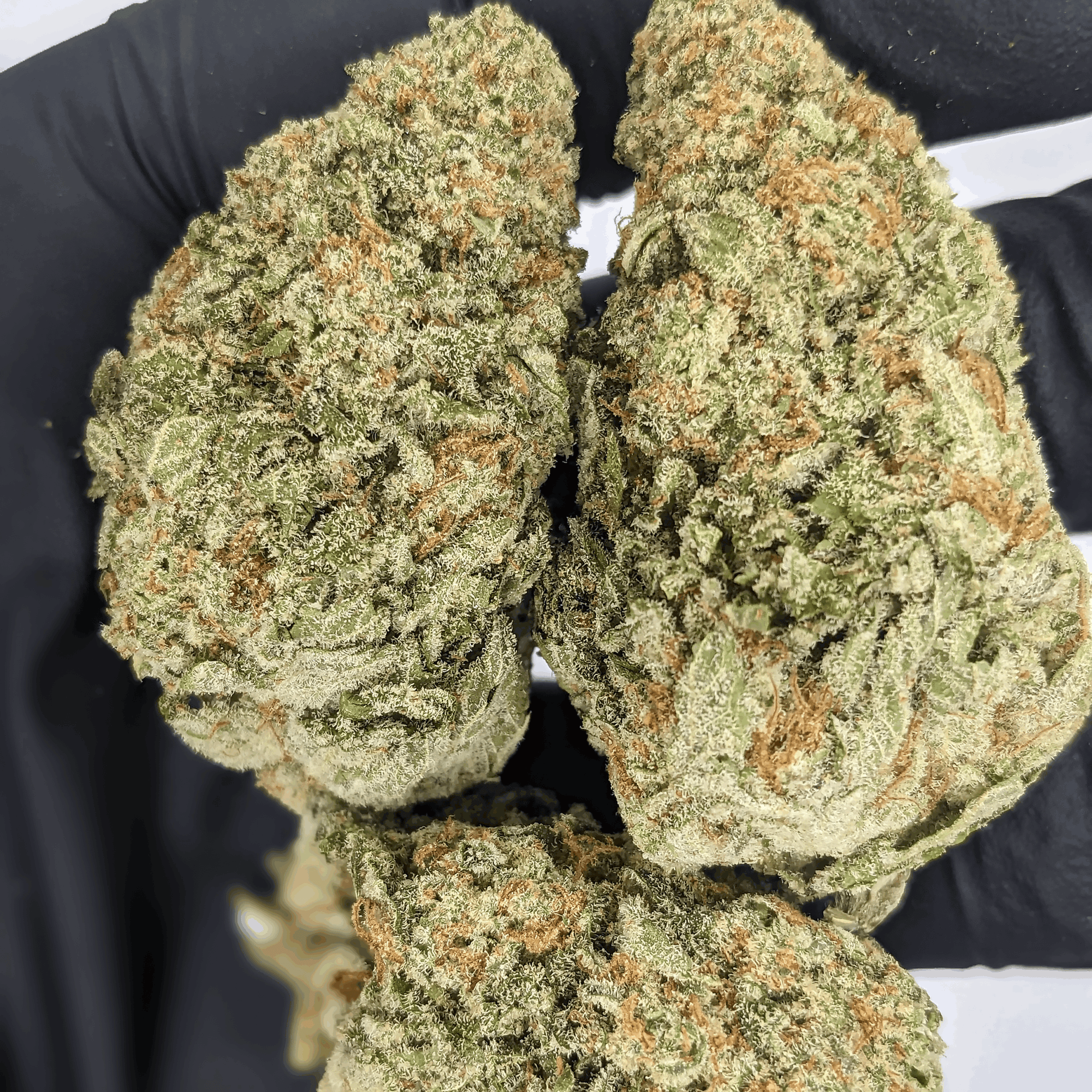 Indoor THCa Flower Ounce