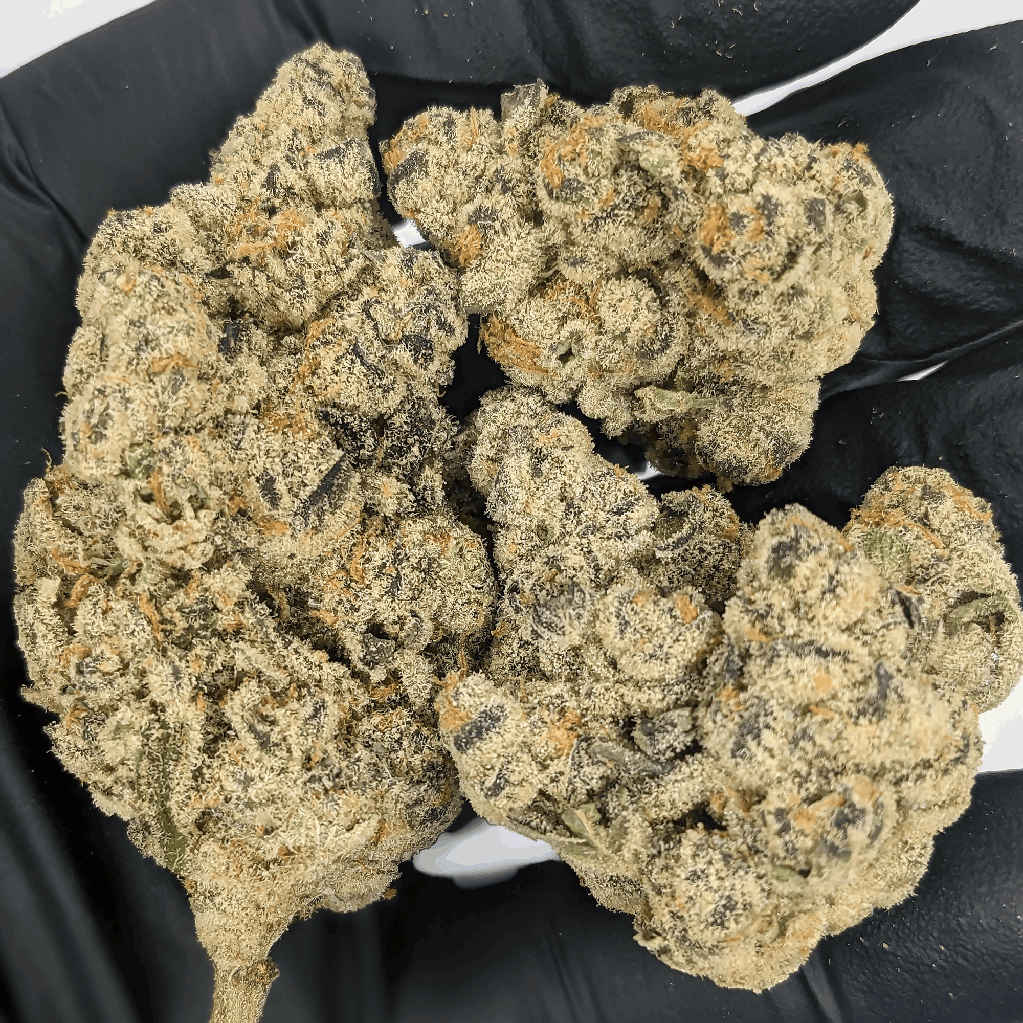 Indoor THCa Flower Ounce