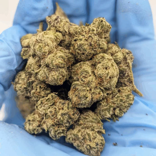 Greenhouse THCa Flower Ounce