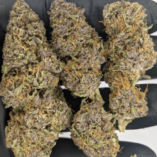 Tropicana Cookies - Greenhouse THCa Flower