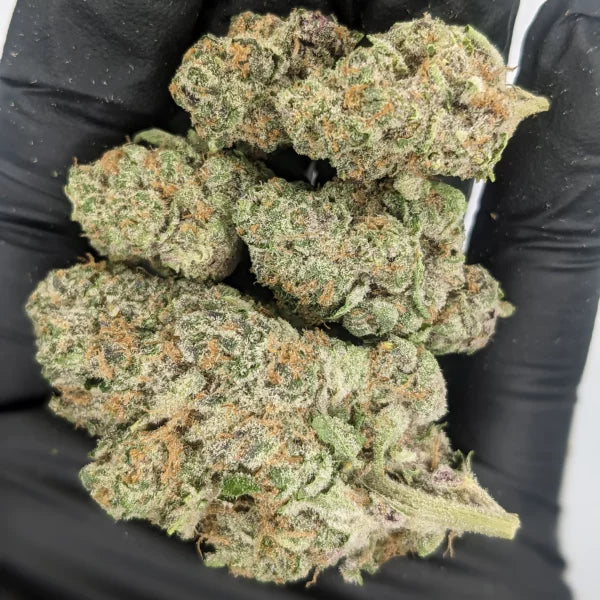 Tropicana Cookies - Indoor THCa Flower