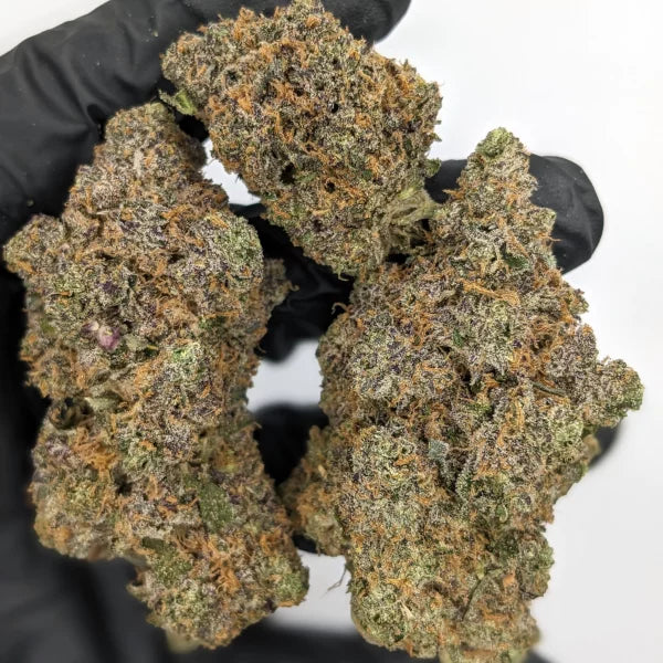 Tropicana Cookies - Indoor THCa Flower