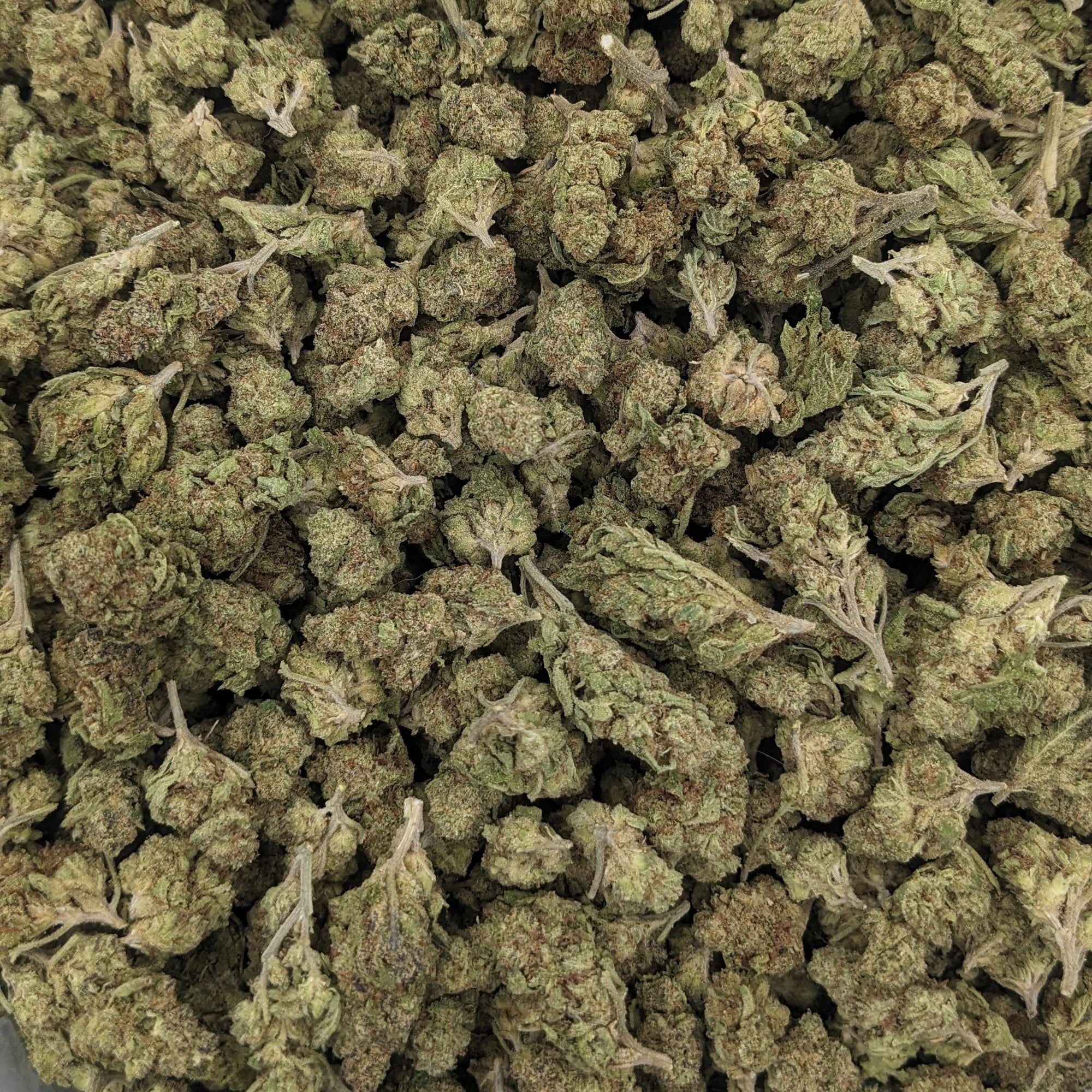 Indoor THCa Flower Pound