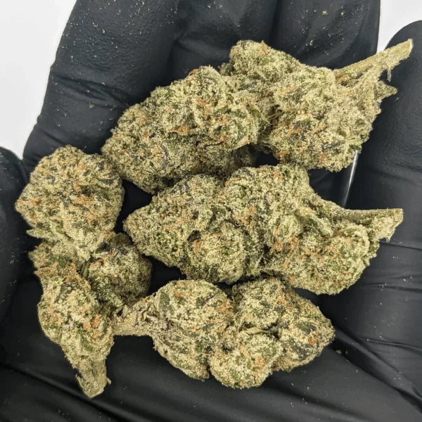 Indoor THCa Flower Pound